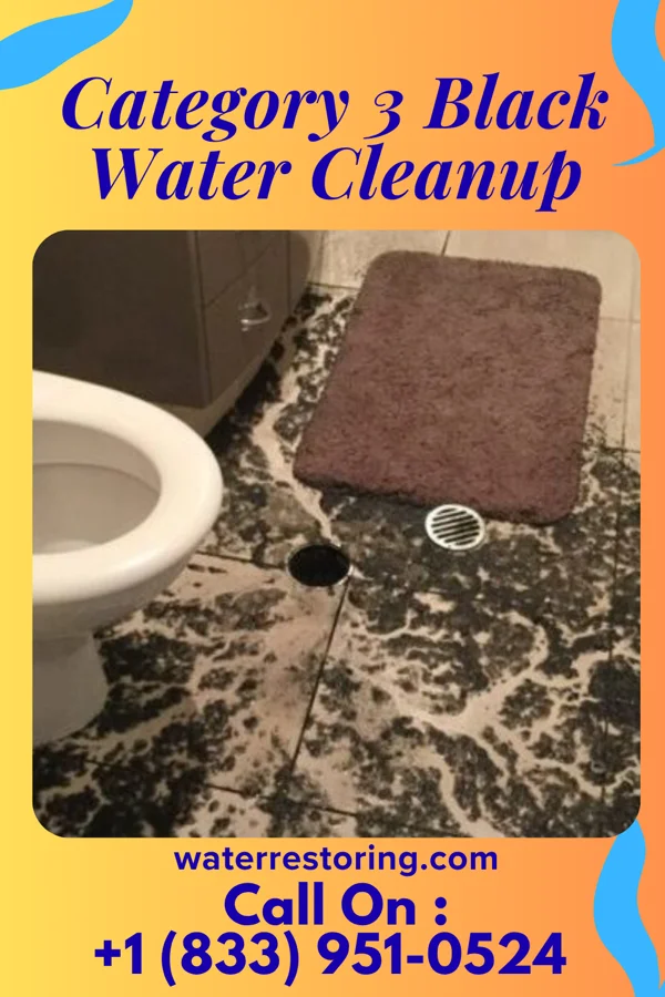 Category 3 Black Water Cleanup in Frankstown, PA