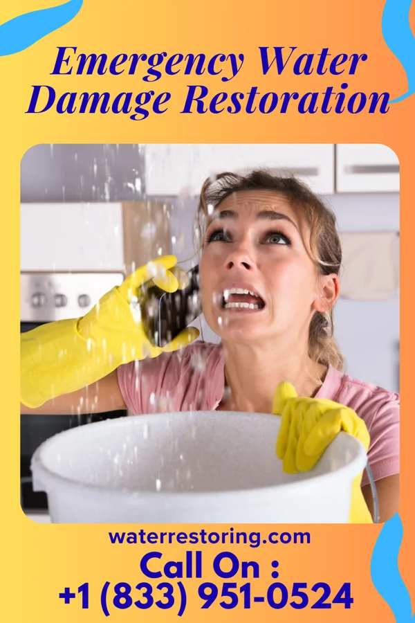 Emergency Water Damage Restoration in Frankstown, PA