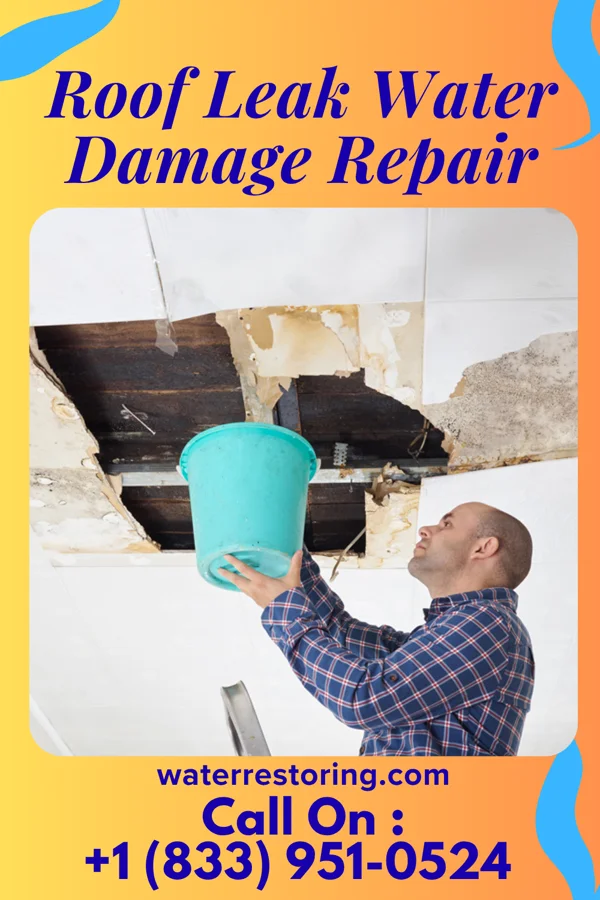 Roof Leak Water Damage Repair in Frankstown, PA