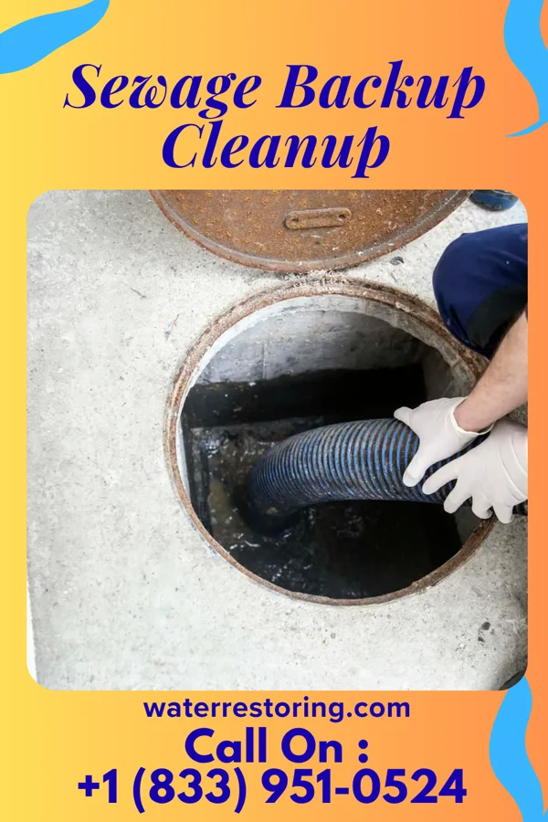 Sewage Backup Cleanup in Frankstown, PA